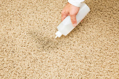 White vinegar applying to carpet stain is effective in treating the stain.